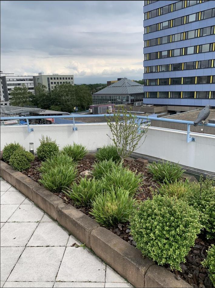 Im Herzen Von Wiesdorf- Blick Auf Das Bayer-Kreuz -Appartement Mit 2 Schlafzimmern-Fuer 3 Personen -Zentral Gelegen - Friedrich Ebert Platz 5A , 4Te Etage - Dachterrasse Und Sauna - Kaution Pflicht - Leverkusen Exteriér fotografie